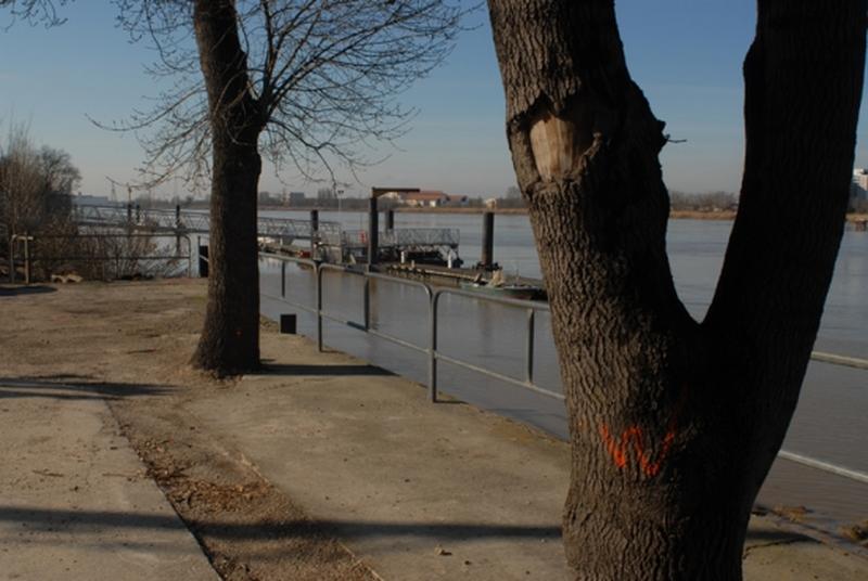 Embarcadère et quai du port de Lormont.