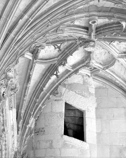 Cloître, galerie est : angle nord-est, escalier en vis (détail) et voûte.