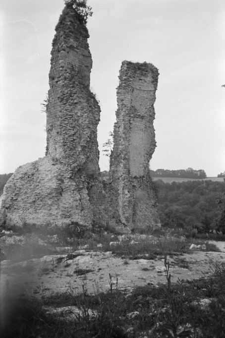 Château fort dit les Tours de Moissaguel