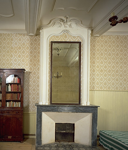 Cheminée du rez-de-chaussée.