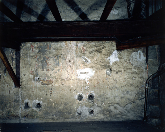 Peinture monumentale du massif occidental : La Création, Le Péché originel