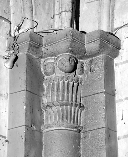 Feuillage en forme de crosses, bas-côté sud