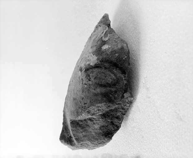 Fragment de sculpture retrouvé en remploi au n° 62.