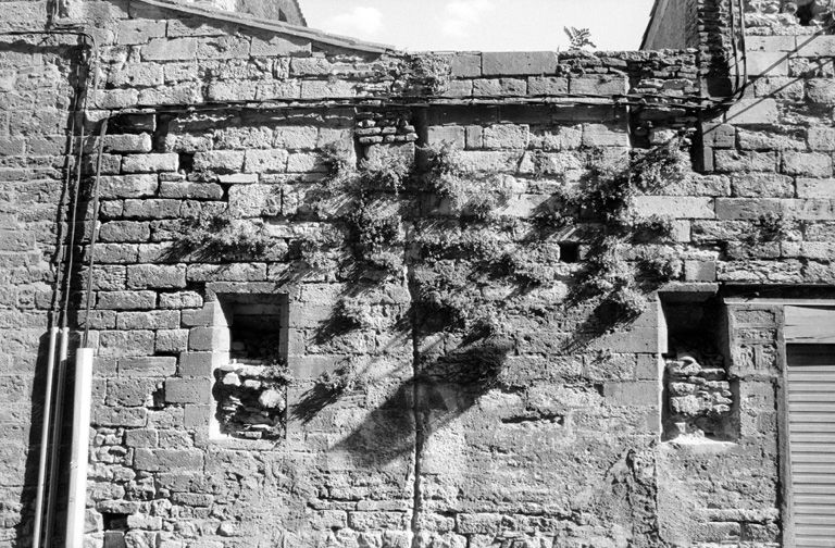 Corps de bâtiment nord, élévation sur la rue de la Tour : détail.