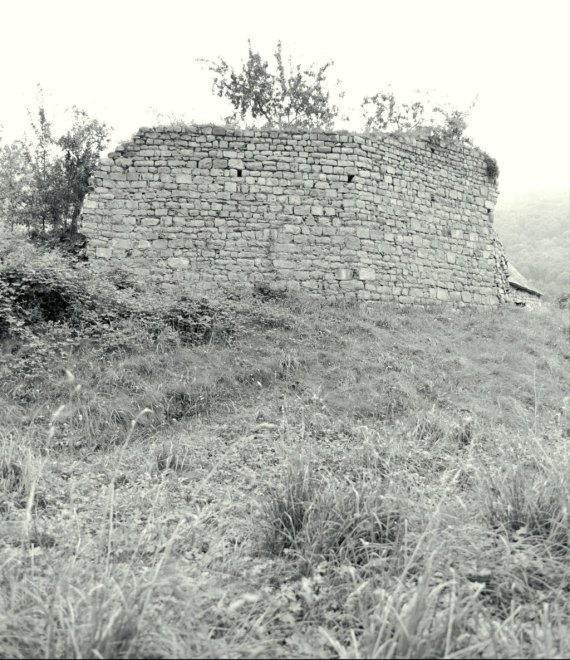 Vue d'ensemble des ruines.