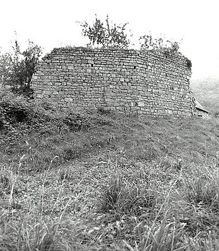 Vue d'ensemble des ruines.