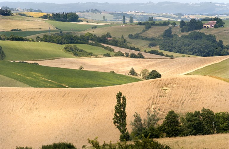 Collines et fermes à Esplas.