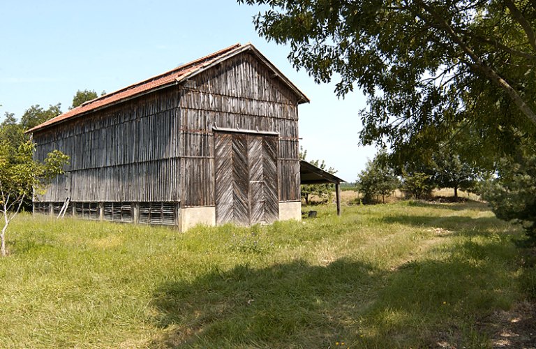 Vue générale.
