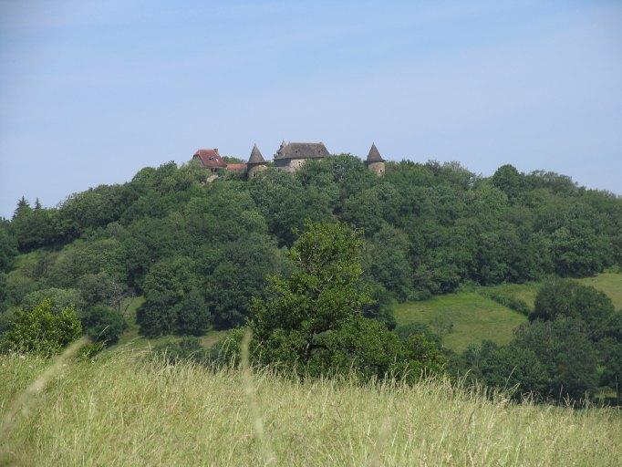 Vue d'ensemble du site depuis le sud-est.