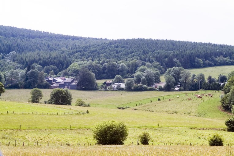 Vue des bois et des hauts plateaux d'Arfons.
