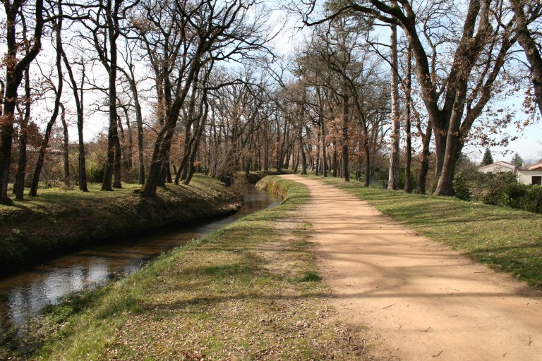 Plantations arborées sur les berges.