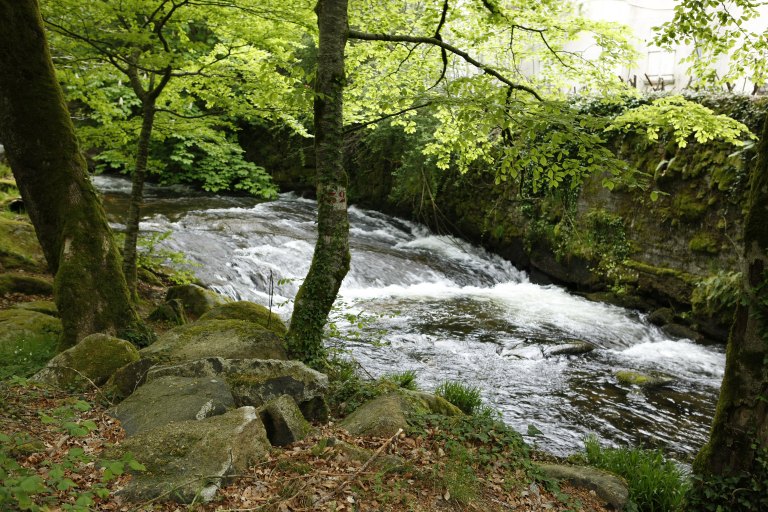 Le ruisseau de l'Alzeau avant la prise d'eau