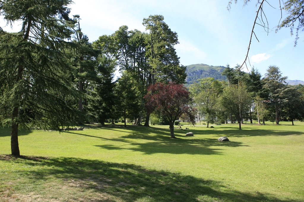 Pelouses et plantations : vue d'ensemble.