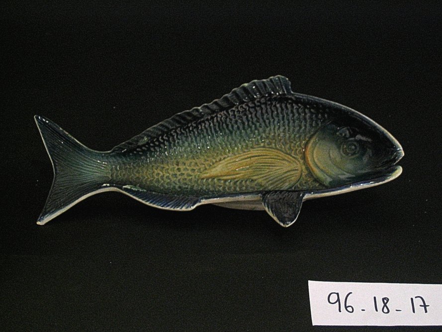 Ravier poisson