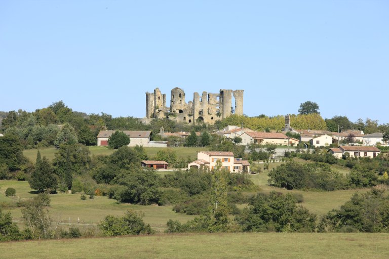 Château de Lagarde