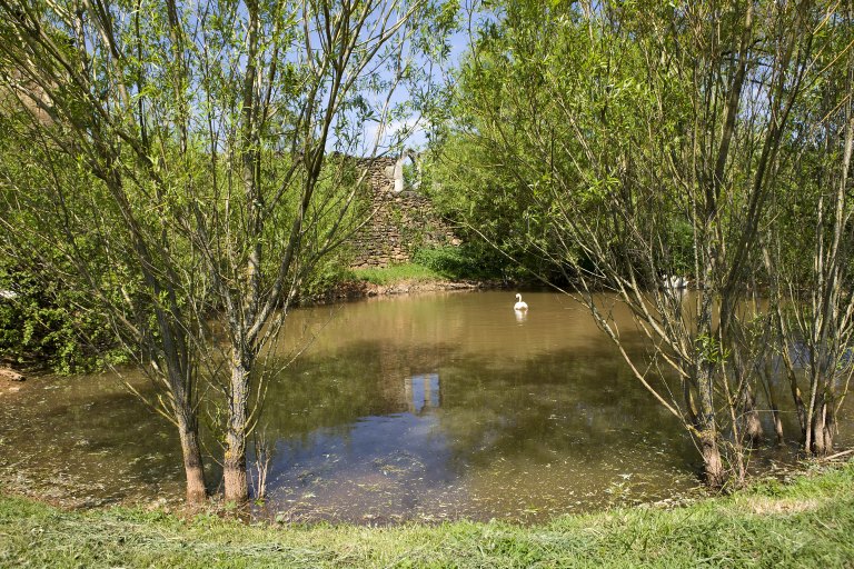 La petite marre, au sud du jardin enclos.
