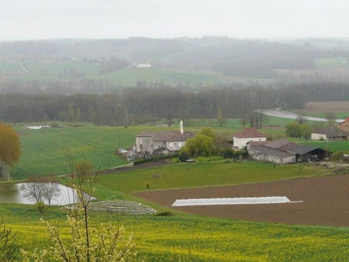 Vue d'ensemble du site depuis le nord.