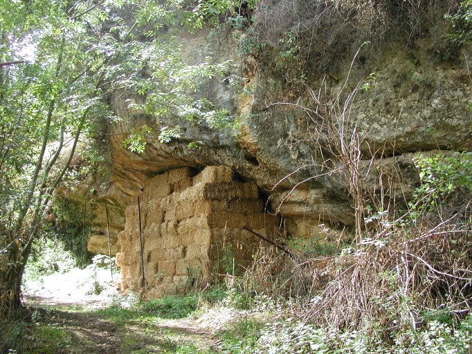 Abri sous roche près de Minguet.