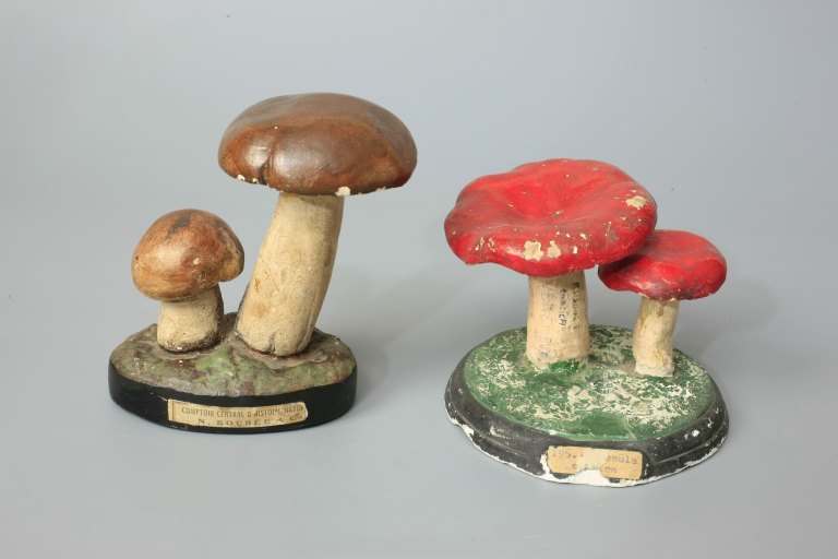 Ensemble de 24 champignons en plâtre