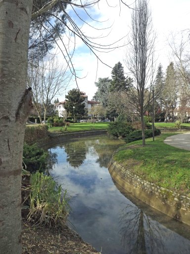 Le cours d'eau aménagé dans le parc.