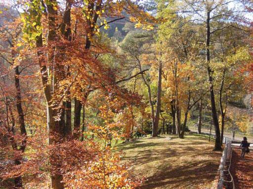 La colline des Espélugues et son aménagement paysager.