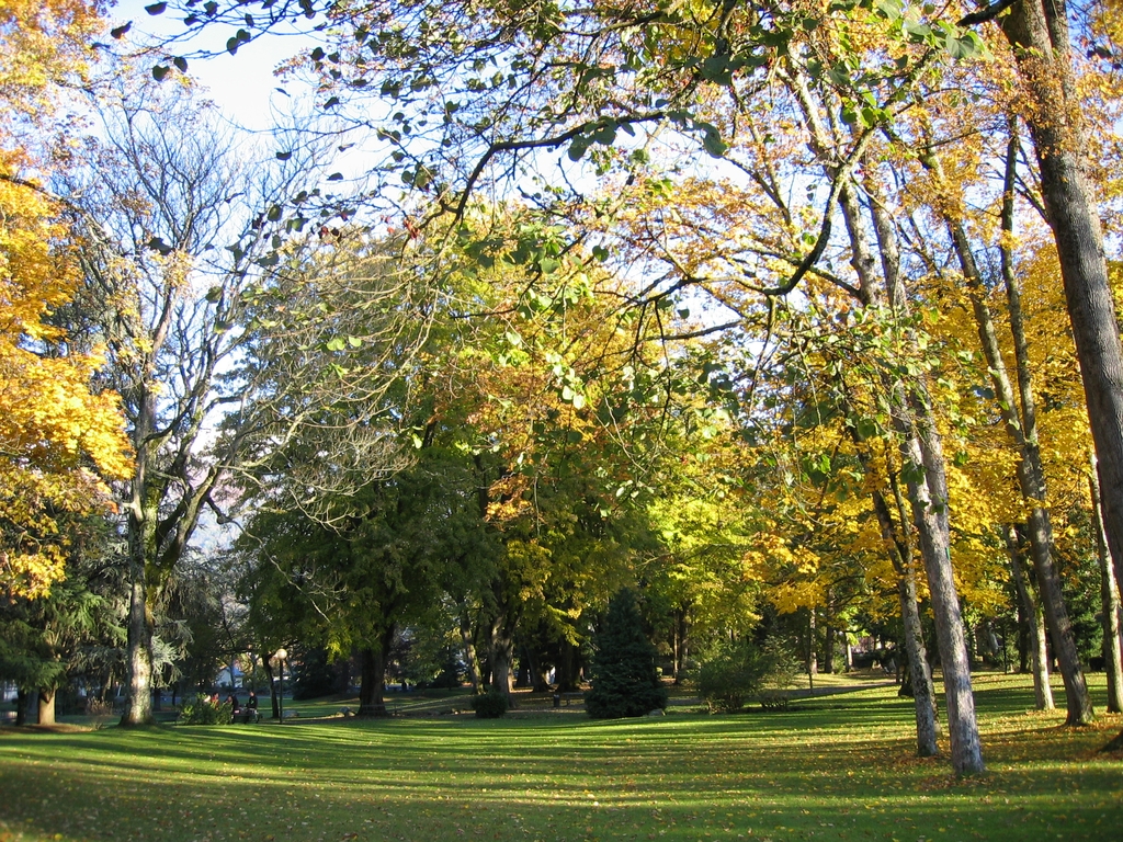 Le parc en automne (le jardin avant la tempête Xynthia de février 2010).