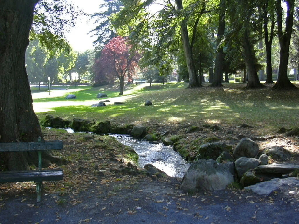 Le parc en été (le jardin avant la tempête Xynthia de février 2010).