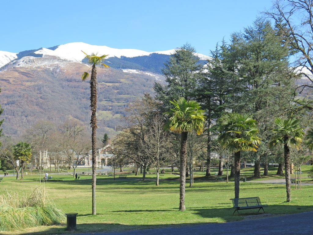 Le jardin descend en pente douce d'ouest en est vers le bâtiment des thermes. L'hiver met en évidence la raréfaction actuelle des conifères.