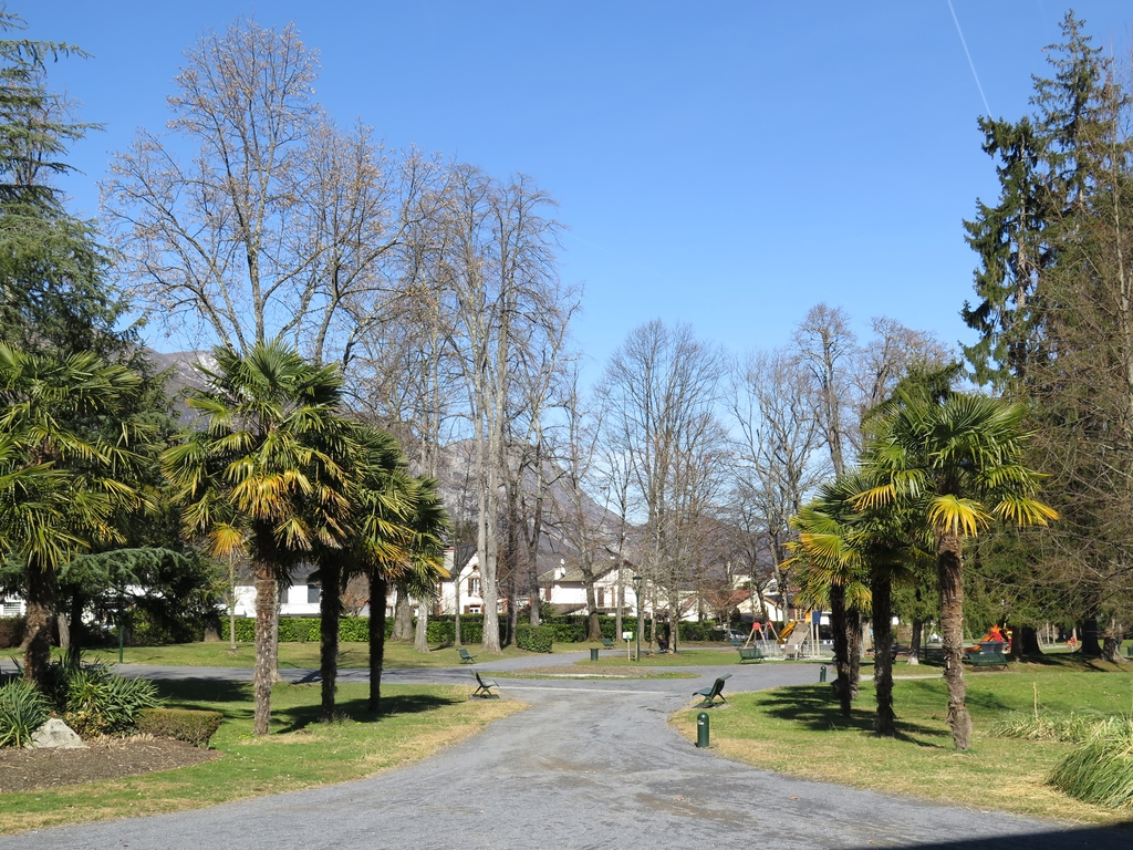 Perspectives arborées hivernales du parc. Au centre du rond-point se tenait un hêtre pourpre monumental.