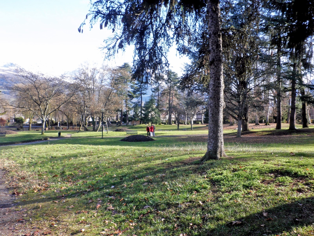 Le parc après la tempête Xynthia : plantations éclaircies.