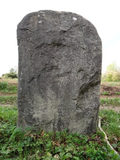 Face arrière.