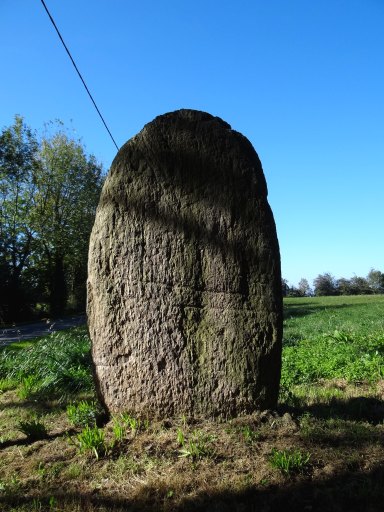 Statue-menhir de Sagnes Marty 1