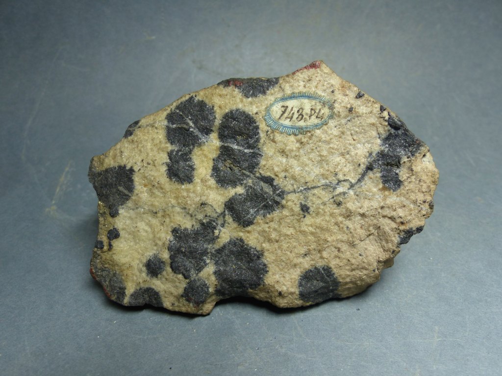 échantillon d'antimoine natif PL 743 découvert à "Schemnitz en hongrie"