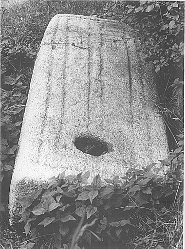 Vue générale.
