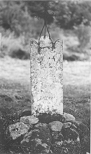 Monument dit mémorial de la famille Dupuis