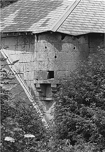 Ecurie. Vestige d'ouvrage défensif sur l'angle.