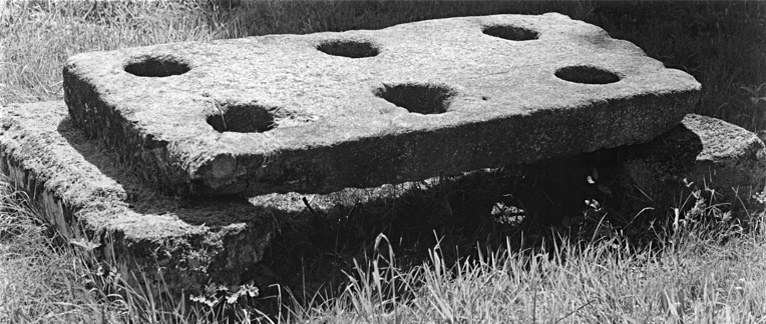 Vestige du potager de l'ancienne cuisine du château.