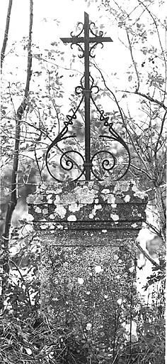 Vue générale.
