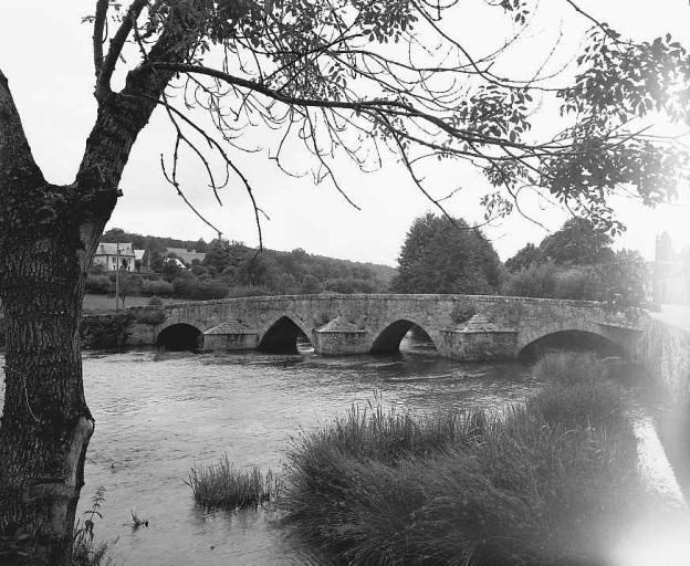 Vue en aval sur la Creuse : vue depuis la rive droite.