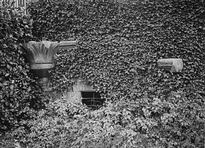 Vestiges du château fort.