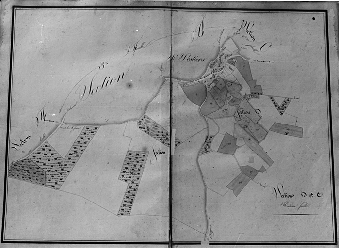 Plan géométrique des propriétés de M. Dunaigre, d'après l'ancien cadastre (1837), sections C et D.