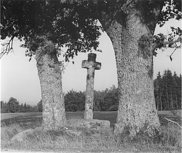 Vue de la croix dans son site.