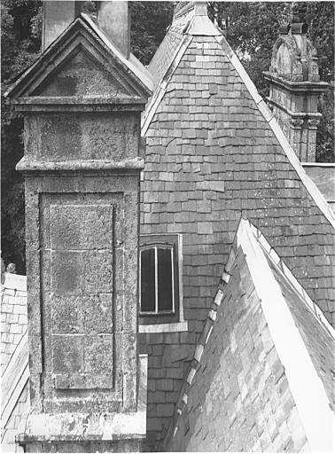 Vue du toit et des souches de cheminée.