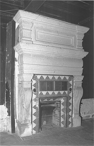 Rez-de-chaussée, cheminée du salon.