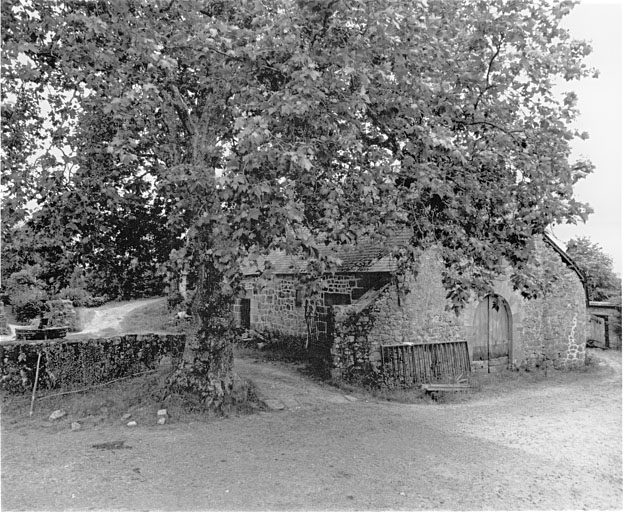 Dépendances à l'ouest du château. Ecuries voûtées, granges, étables.