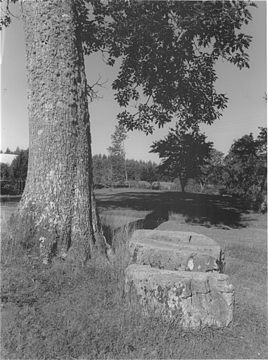 Vestiges de l'ancienne chapelle (?) : bases prismatiques.