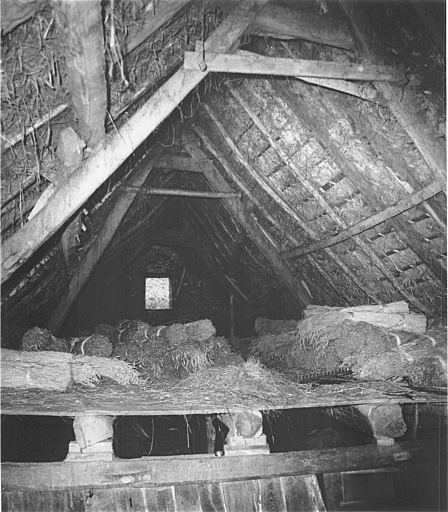 Grange-étable : vue de la charpente au niveau de la barge du fenil.