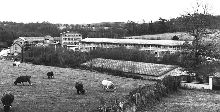 Usine de peausserie (usine de traitement des peaux de lapin)