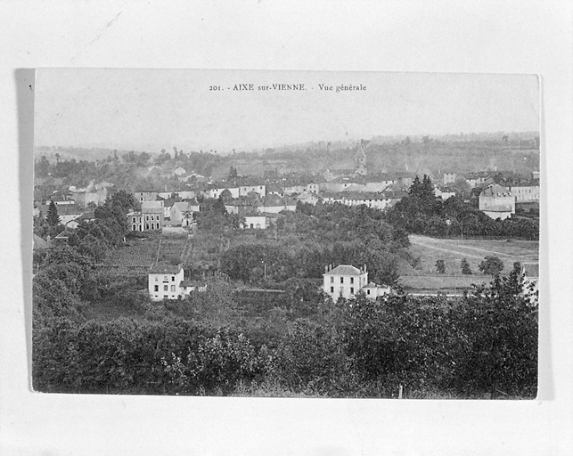 Vue partielle de la ville haute depuis les coteaux dominant la rive droite de la Vienne.