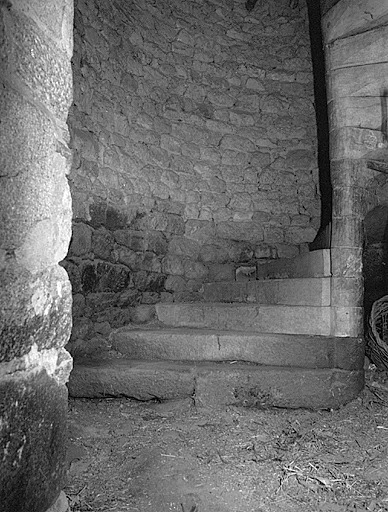 Bâtiment de la métairie; escalier en vis à marches en bois formant noyau (après départ de 2 marches en pierre).